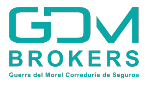 GDM Brokers Logo